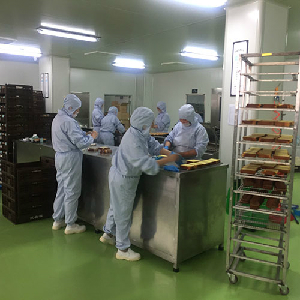 Food germ-free cleanroom